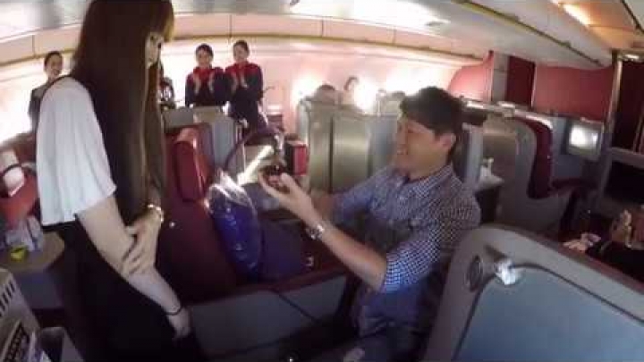 2017年澳洲求婚計畫