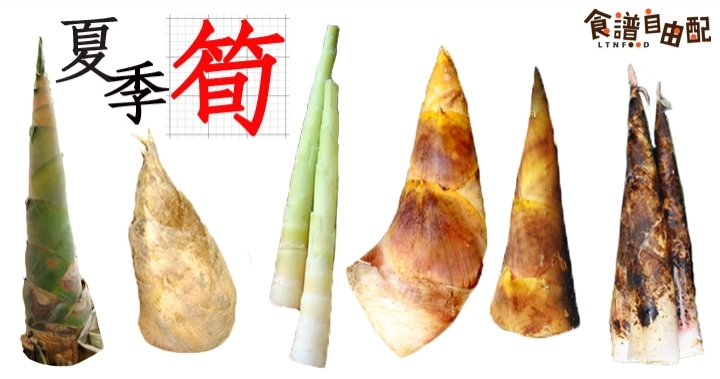 熱天吃涼筍:台灣竹筍原來有這麼多品種!